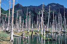 Sandspit Point State Marine Park