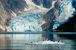 Northwestern Fjord