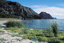 Ribbonfall Cove
